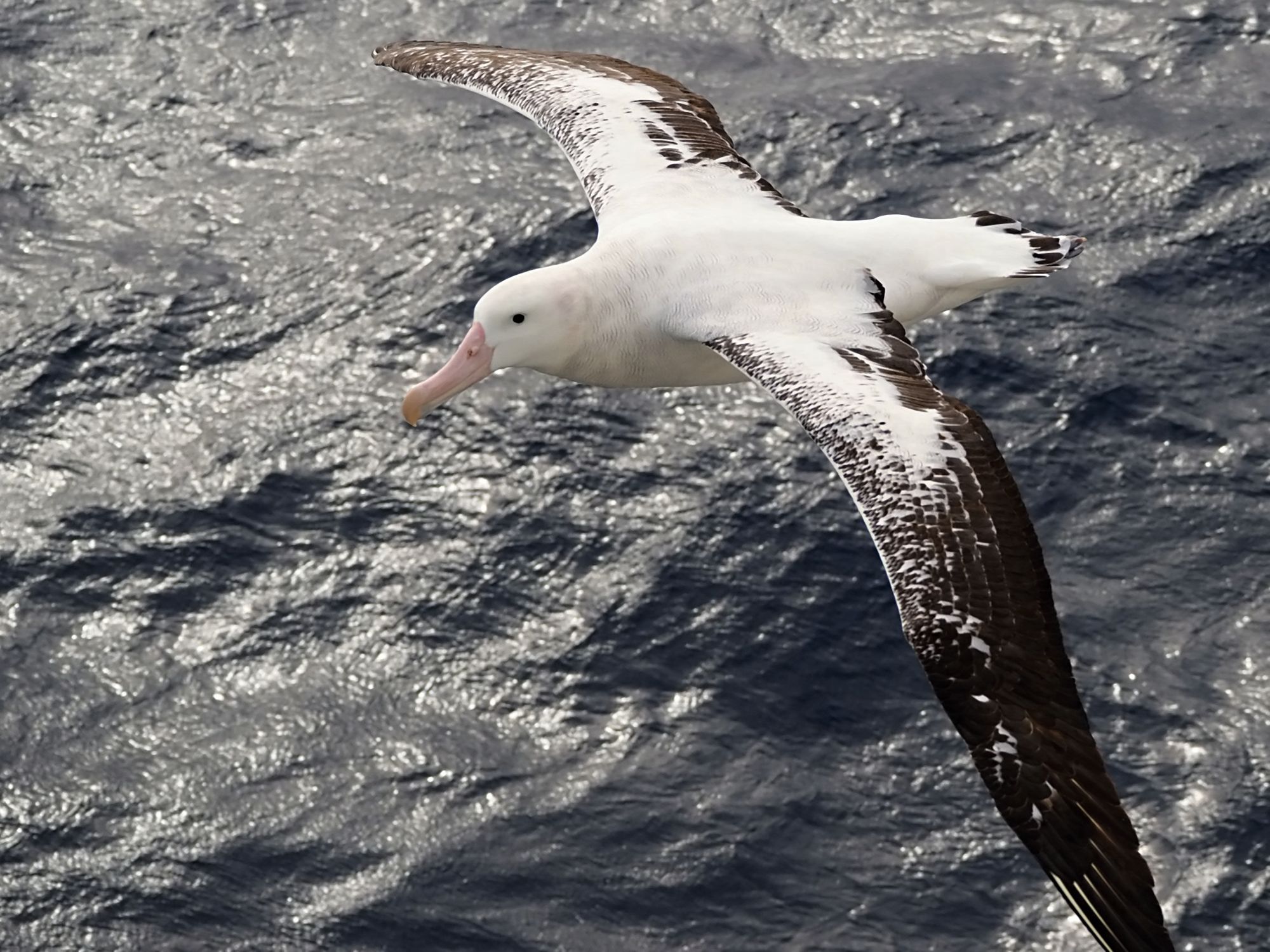 Tips for aurora photography on board a ship