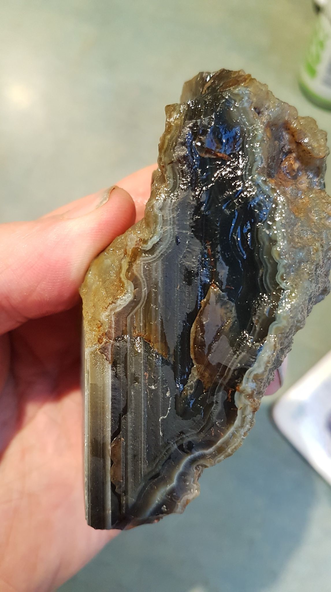 Agate Fossicking