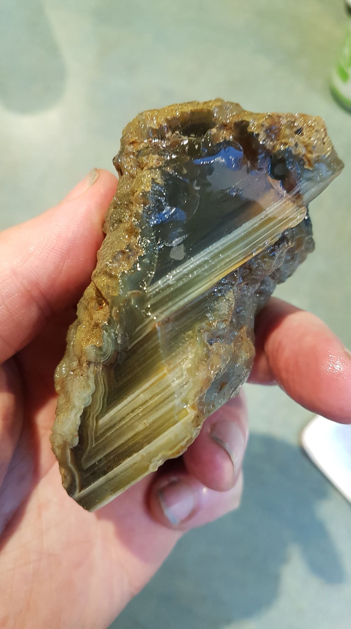 Agate Fossicking